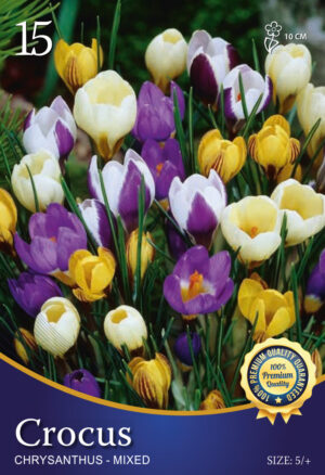 Crocus specie gemengd