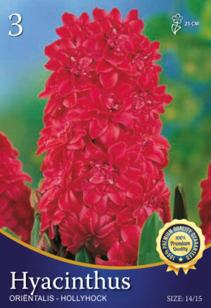 Hollyhock