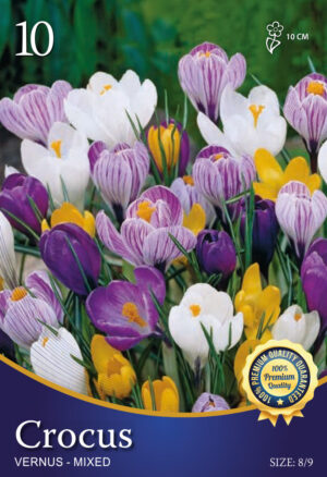 Crocus gemengd