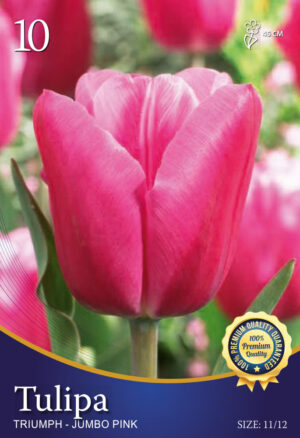 Jumbo Pink
