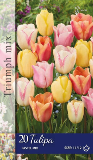 Tulipa Pastel gemengd